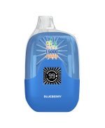 Blueberry flavor of disposable vape