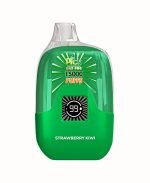 Disposable vape with 15000 puffs