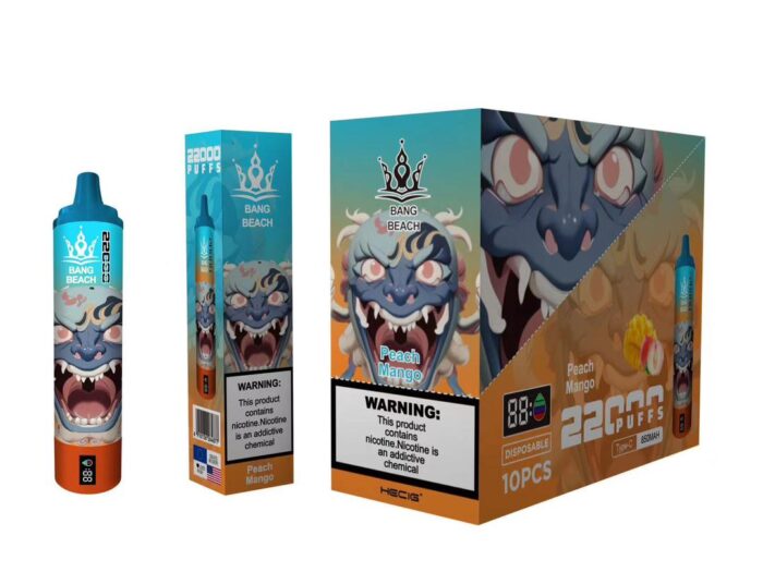 Disposable Vape product with 22000 puffs