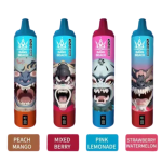 Bang Beach Vape - 4 flavors image