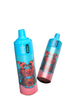 Bang King 13000 Puffs Wholesale Disposable Vape