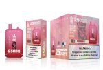 Bang King Dual Pods 25000 Puffs - Disposable Vape - UNIK Tech - Image 4
